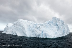 Tina Freeman	- "Antarctica Series" 